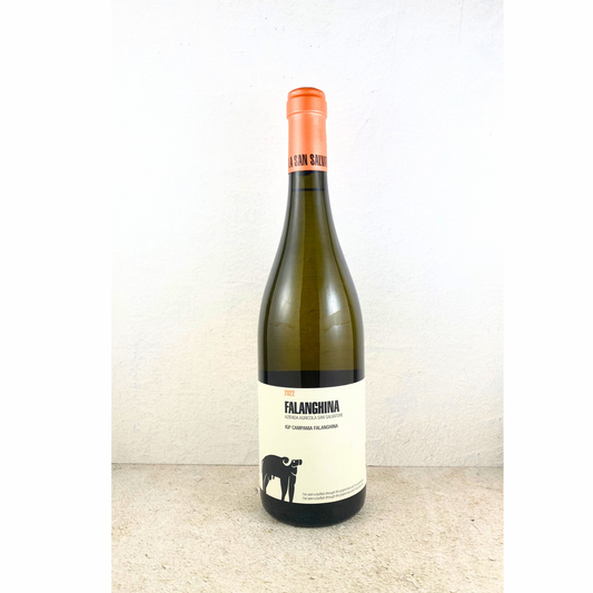 2022 San Salvatore Falanghina IGT