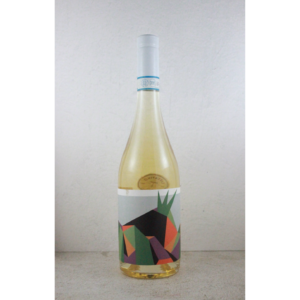 2022 Villa Dora Caprettone Bianco