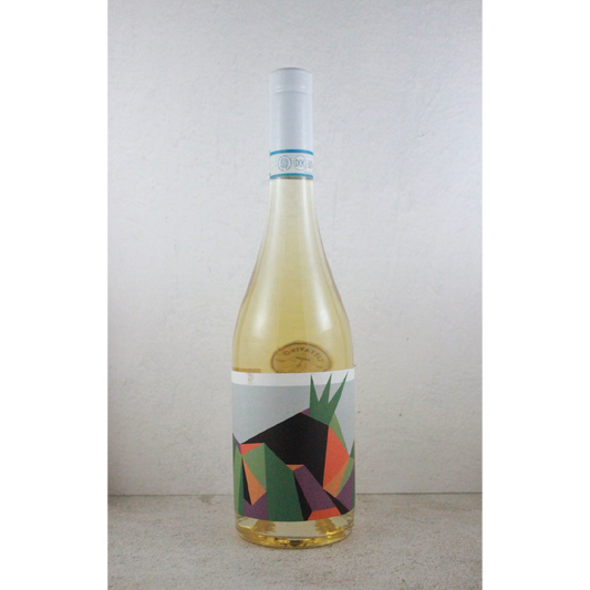 2022 Villa Dora Caprettone Bianco