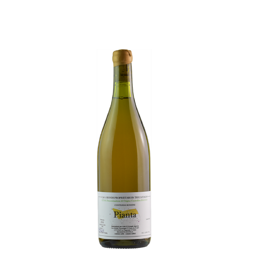 Biondi 'Pianta' Etna Bianco 2018