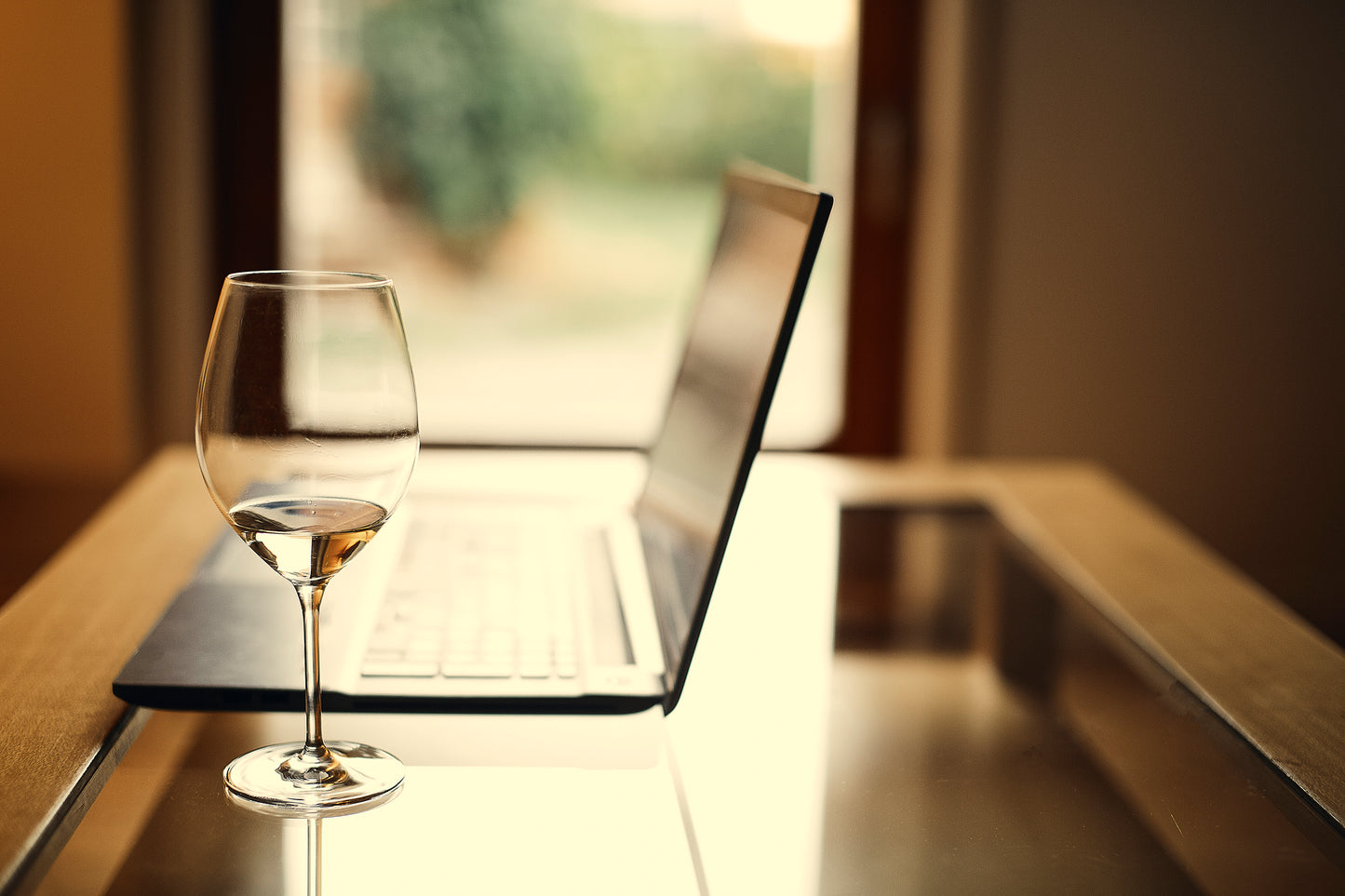 Virtual Wine Tasting + Shipped Wine Bottles